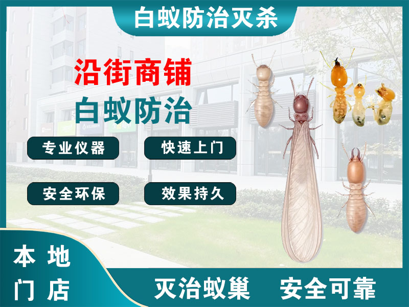 平湖沿街商铺白蚁防治