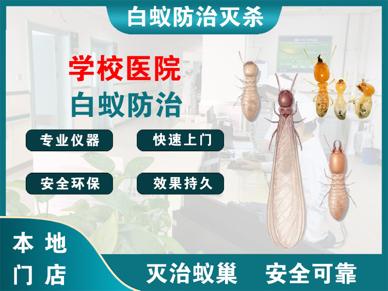 平湖学校医院白蚁防治