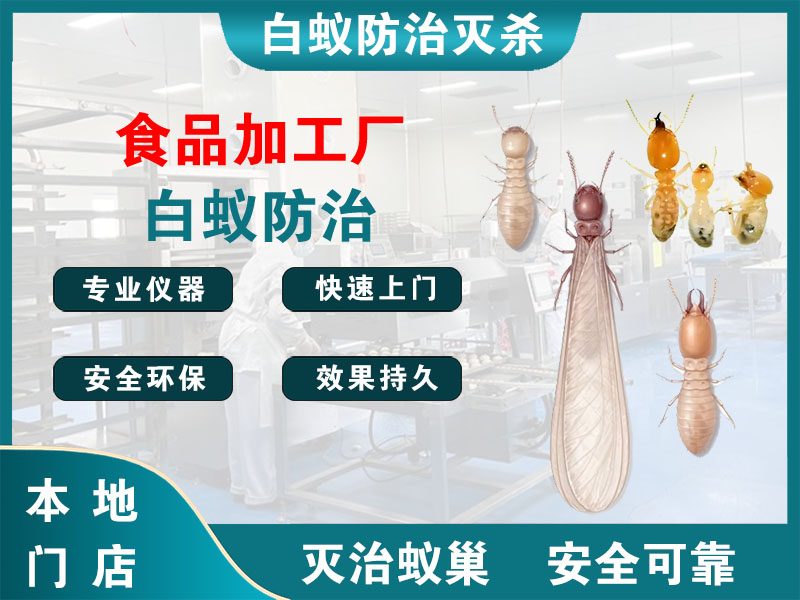 平湖食品加工厂白蚁防治