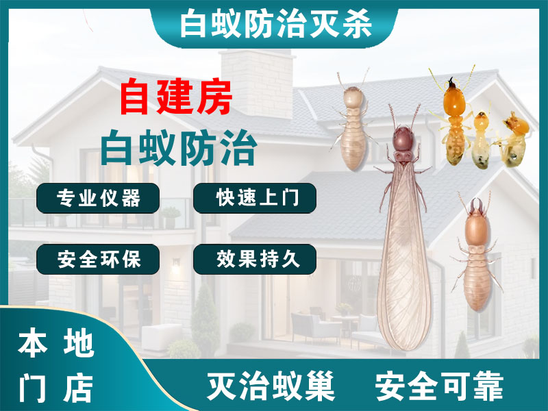 平湖自建房白蚁防治