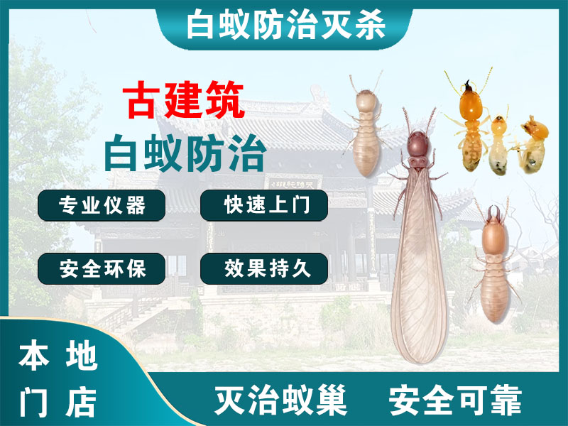 平湖古建筑白蚁防治