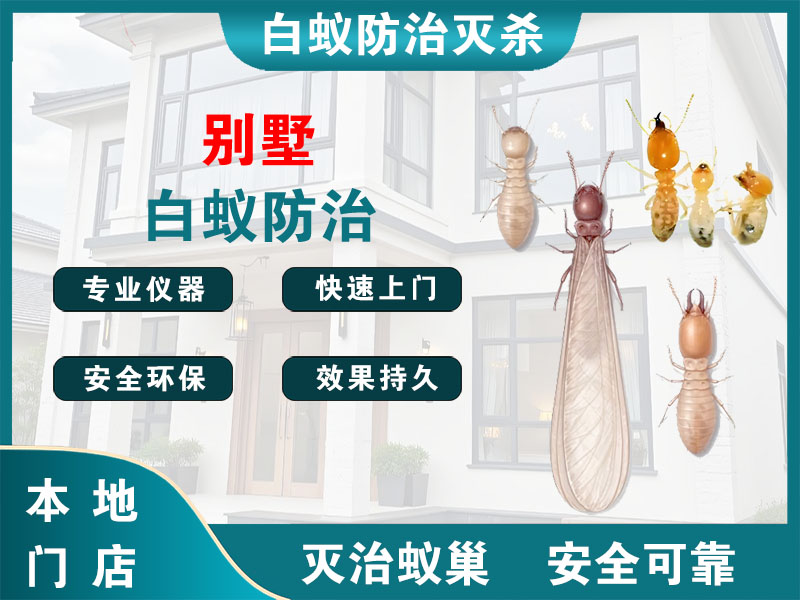 平湖别墅白蚁防治