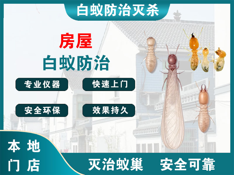 平湖房屋白蚁防治